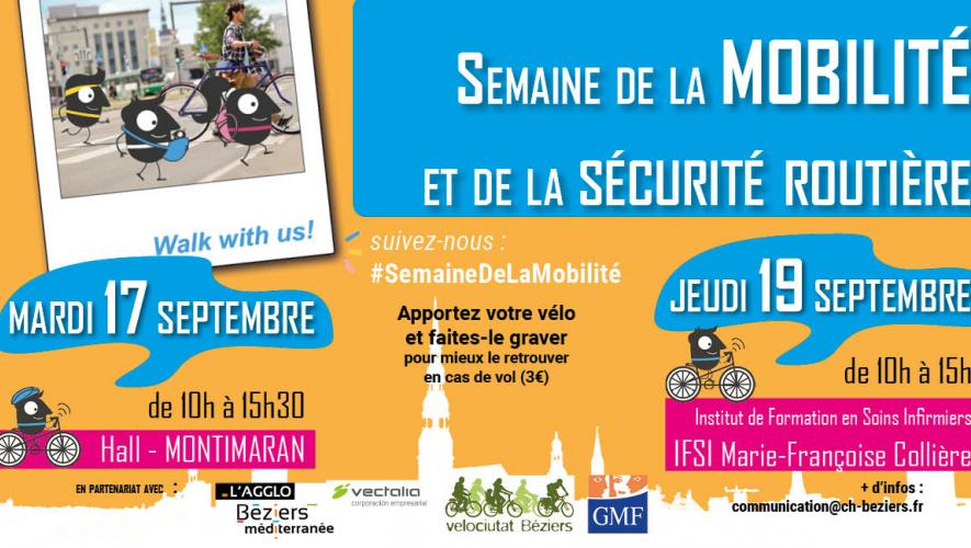 mobilité 2019